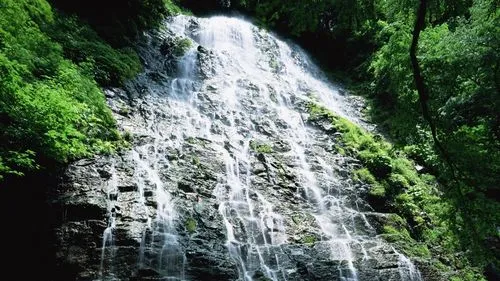 电子高端智能化